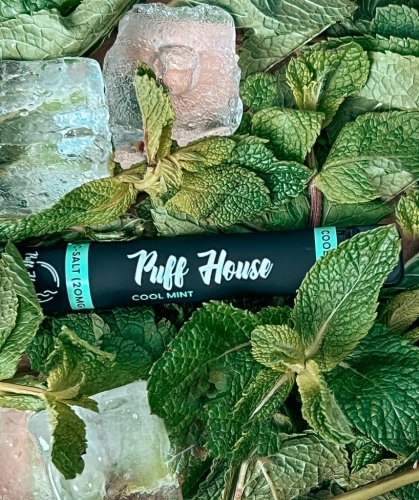 Jednorázová e-cigareta Puff House, Cool Mint