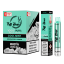 Jednorázová e-cigareta Puff House, Cool Mint 1000 Puffs